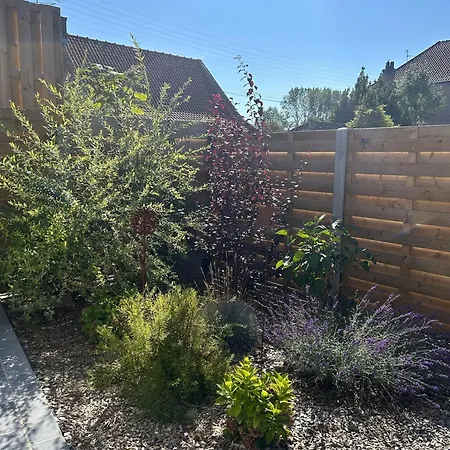 Hébergement de vacances Maison A Saint-omer 70 M² Avec